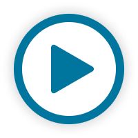 動画を再生する