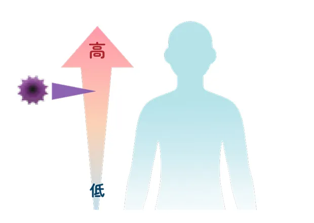 がんのリスクが高いか低いかが分かる
