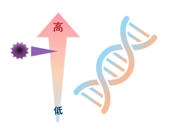 今がんがあるかどうかではなく、将来がんになる可能性が分かる