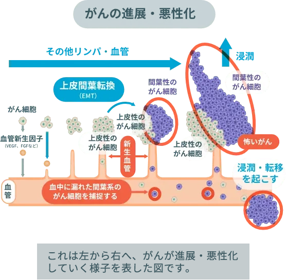 マイクロCTCで全身のがんリスクが検出される仕組み