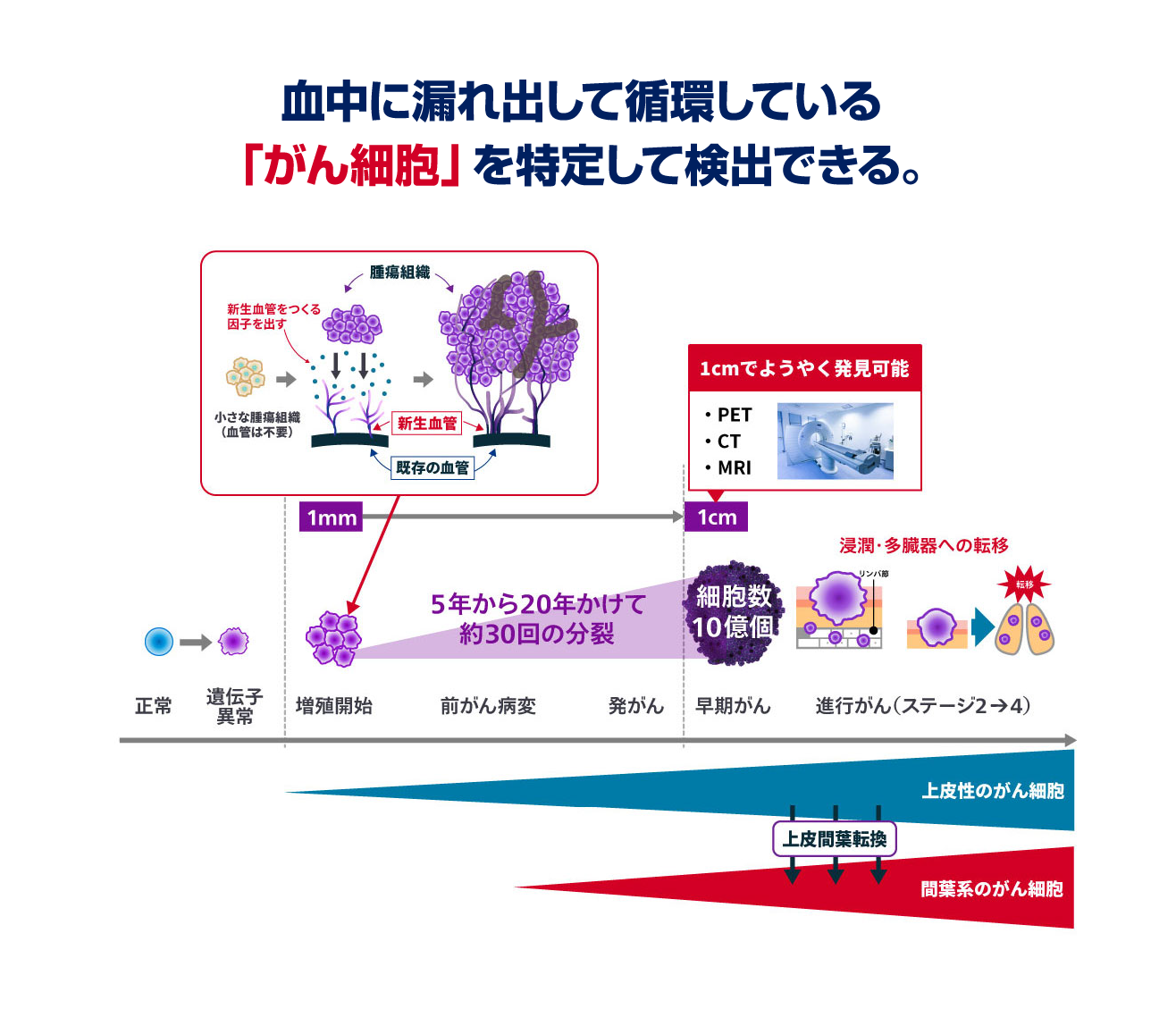 1cm未満の大きさでも全身のがんリスクをチェックできる